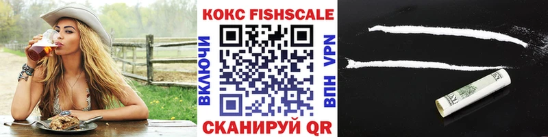 Кокаин FishScale  Купить где  Гусев 