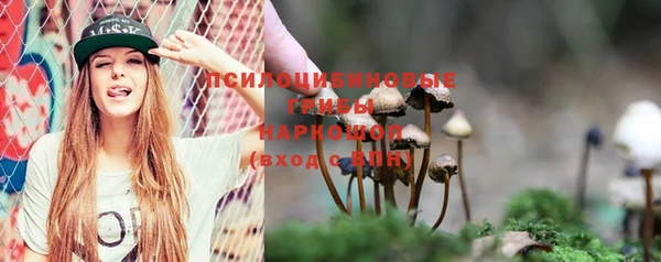 ECSTASY Киреевск