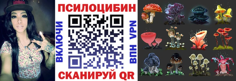 Галлюциногенные грибы GOLDEN TEACHER  Купить  Гусев 